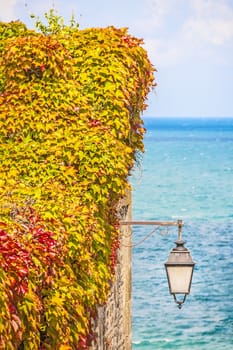 Wild colorful vines leaves on a wall with a lamp on the coast of Granville, Upper Normandy, France