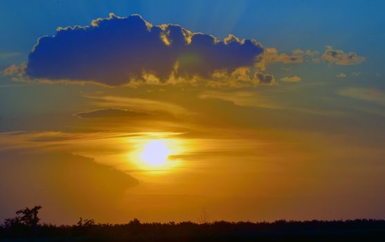 beautiful sunset above green filed in summer time