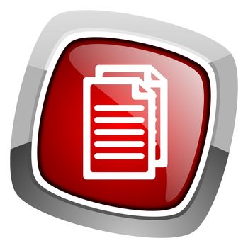 document icon
