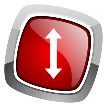 arrows icon