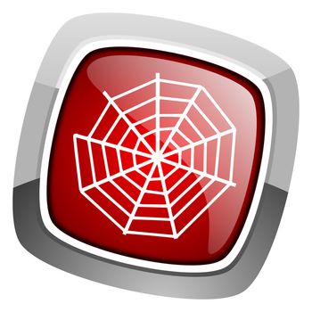 spider web icon