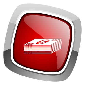 money icon
