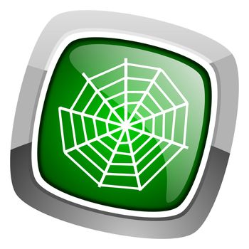 spider web icon