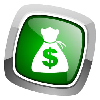 money icon