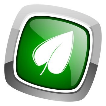 leaf icon