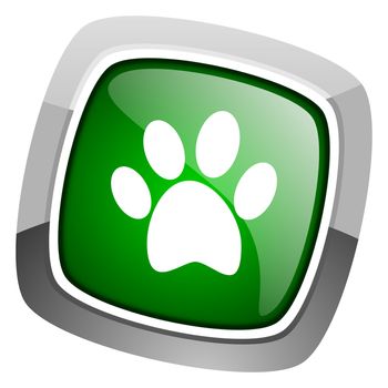 animal footprint icon