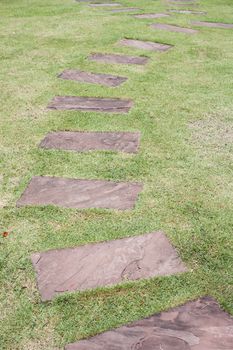 Stone path in tropical garden