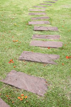 Stone path in tropical garden