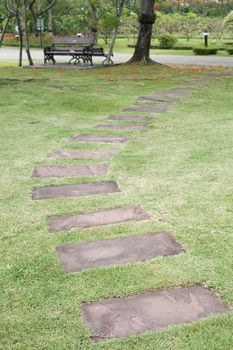 Stone path in tropical garden