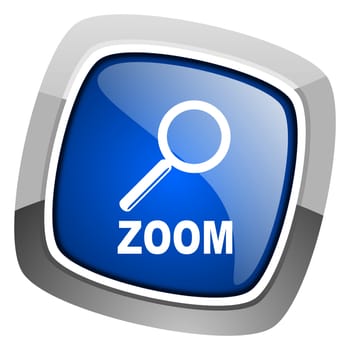zoom icon