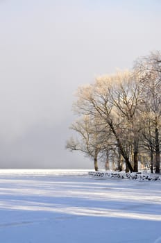 Trees with hoarfrost by a frozen lake.