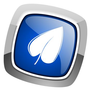 leaf icon