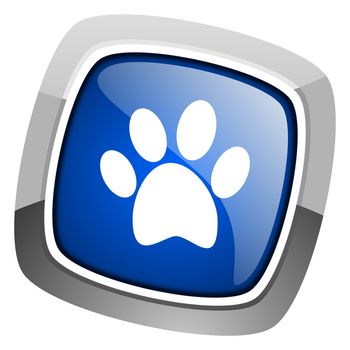 animal footprint icon