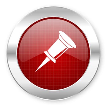 pin icon