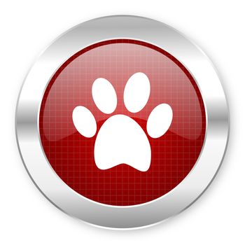 animal footprint icon