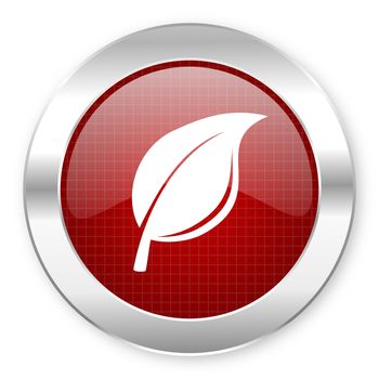 nature icon