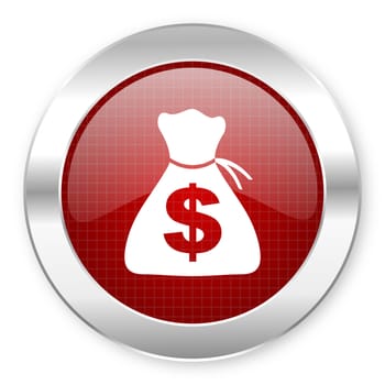 money icon