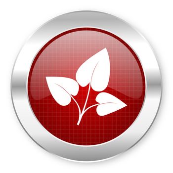 eco icon