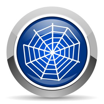 spider web icon