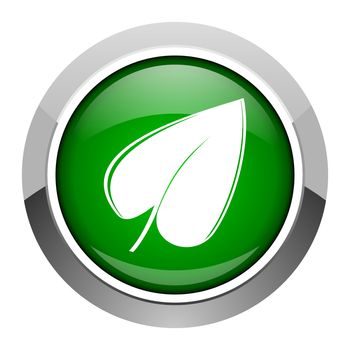 leaf icon