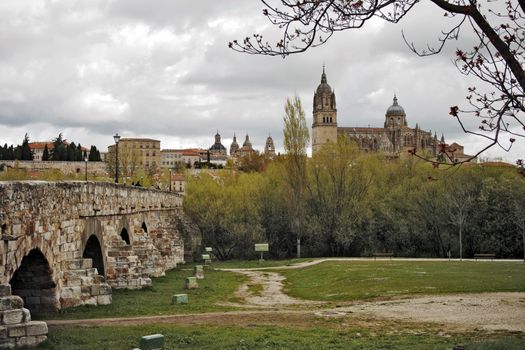 View on New Catedal of Salamanca and roman stone bridge, Spain
