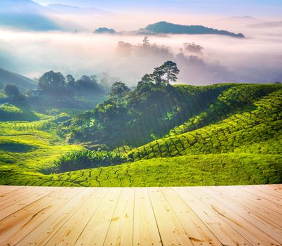 Wood floor over tea Plantations at Cameron Highlands Malaysia. Sunrise in early morning with fog.