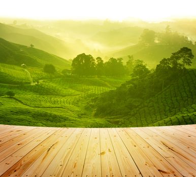 Wood platform beside tea plantation in  morning view, cameron highland malaysia