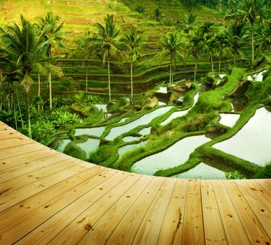 Wooden platform beside terrace rice fields in morning sunrise, Ubud, Bali, Indonesia