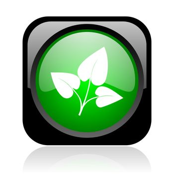 eco black and green square web glossy icon