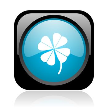 four-leaf clover black and blue square web glossy icon