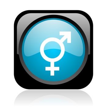 sex black and blue square web glossy icon