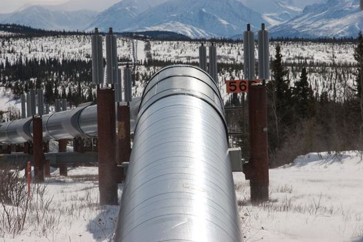 The Trans-Alaska Pipeline System in Interior, Alaska