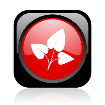 eco black and red square web glossy icon