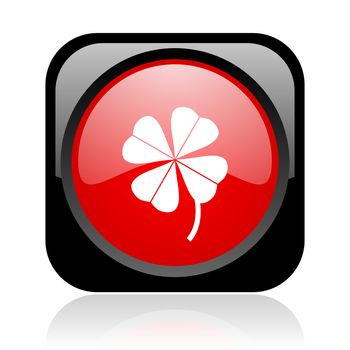 four-leaf clover black and red square web glossy icon