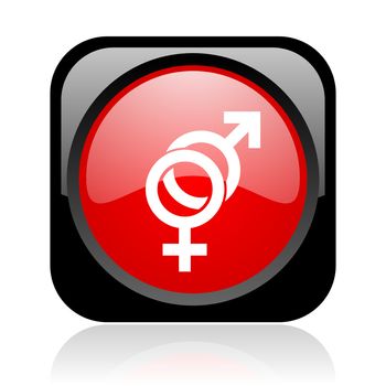 sex black and red square web glossy icon