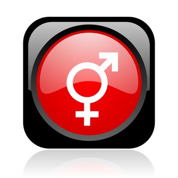 sex black and red square web glossy icon