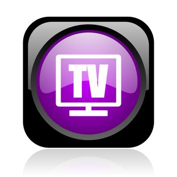 tv black and violet square web glossy icon