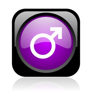 sex black and violet square web glossy icon