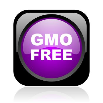 gmo free black and violet square web glossy icon