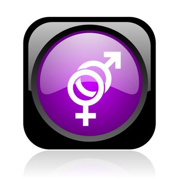 sex black and violet square web glossy icon