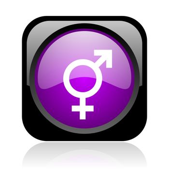 sex black and violet square web glossy icon