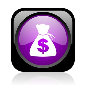 money black and violet square web glossy icon