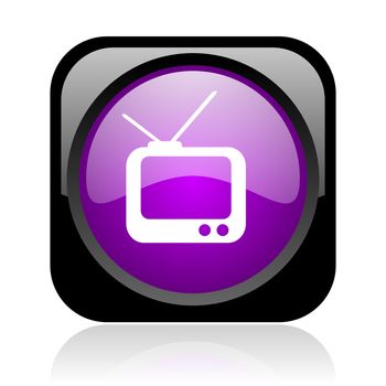 tv black and violet square web glossy icon