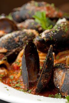 Macro shot of a mussels seafood dinner with red sauce.  Shallow depth of field.