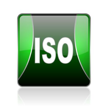 black and green square glossy internet icon on white background with reflaction