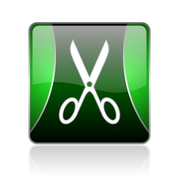 black and green square glossy internet icon on white background with reflaction