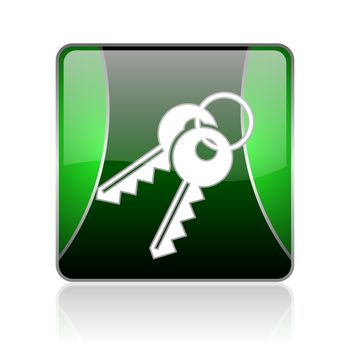 black and green square glossy internet icon on white background with reflaction