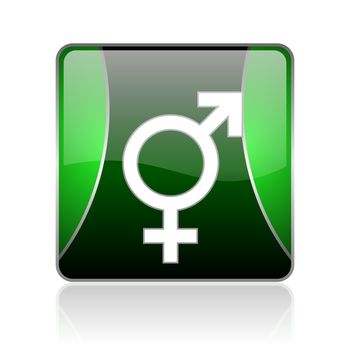 black and green square glossy internet icon on white background with reflaction