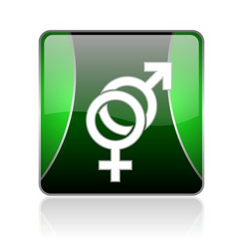 black and green square glossy internet icon on white background with reflaction