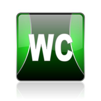 black and green square glossy internet icon on white background with reflaction